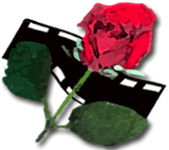 Red rose with filmstrip